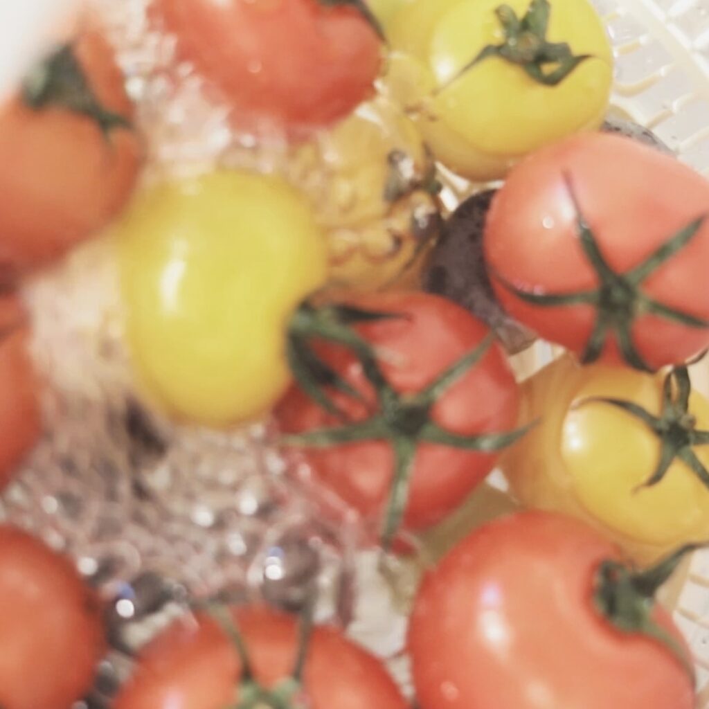 재료를 세척하는 모습